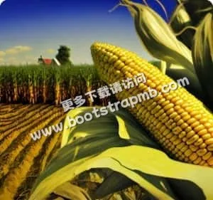 安全可靠的体育互动体验 - 体育资讯