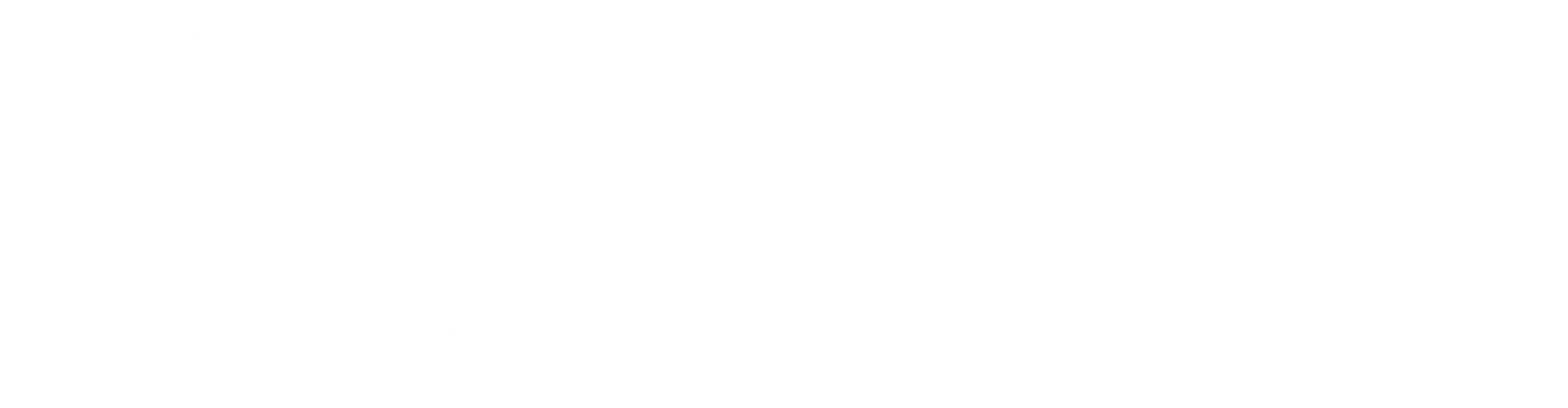 核心服务亮点 - 体育资讯